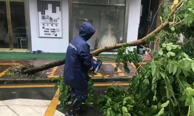 沙瑯鎮(zhèn)：打好防風(fēng)防汛“主動(dòng)戰(zhàn)”，“小網(wǎng)格”實(shí)現(xiàn)“大守護(hù)”